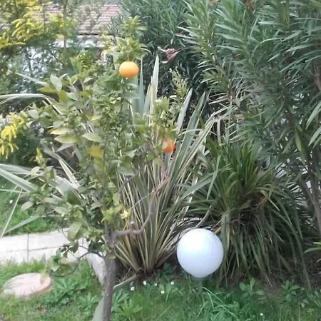 Clair Logis 2* アルジェレス・シュル・メール