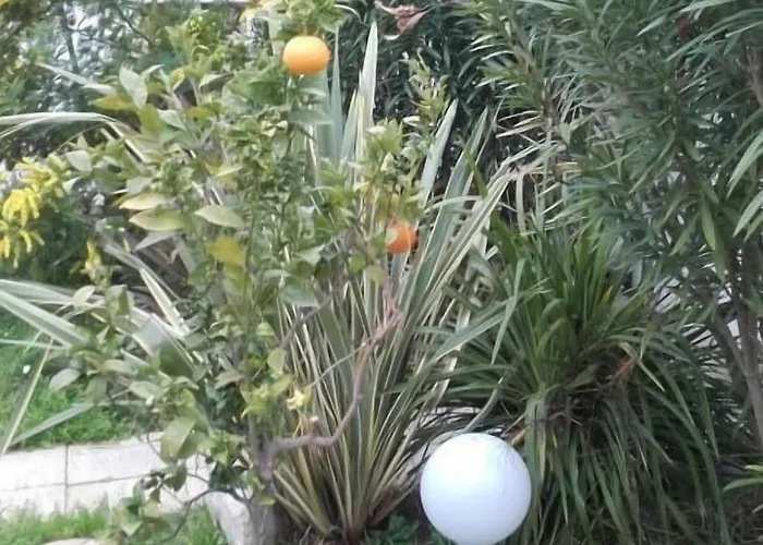 Clair Logis 2* Argelès-sur-Mer